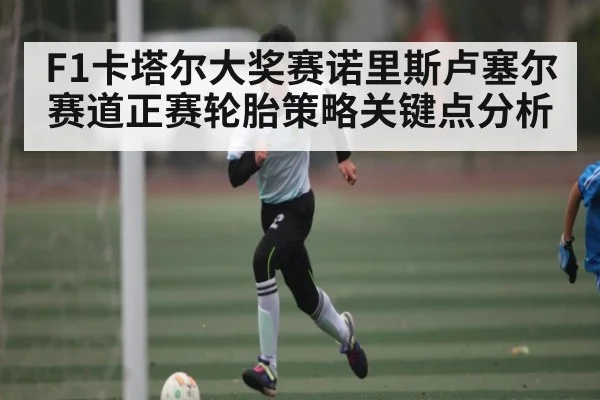 F1卡塔尔大奖赛诺里斯卢塞尔赛道正赛轮胎策略关键点分析