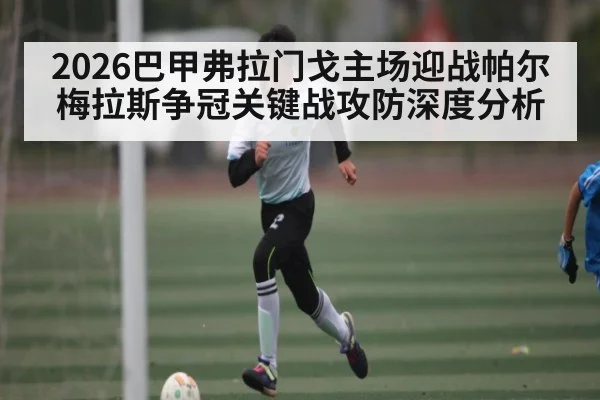 2026巴甲弗拉门戈主场迎战帕尔梅拉斯争冠关键战攻防深度分析