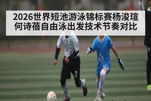 2026世界短池游泳锦标赛杨浚瑄何诗蓓自由泳出发技术节奏对比